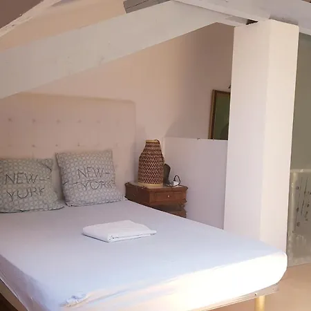 Apartment Happydays Spacieux Duplex-garage Cannes