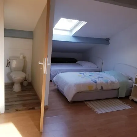 Apartment Happydays Spacieux Duplex-garage *