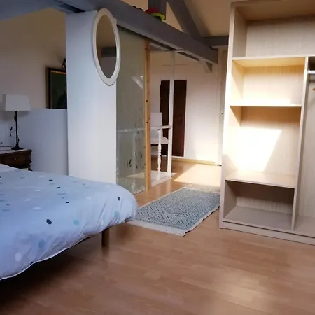 Happydays Spacieux Duplex-garage Apartment Cannes
